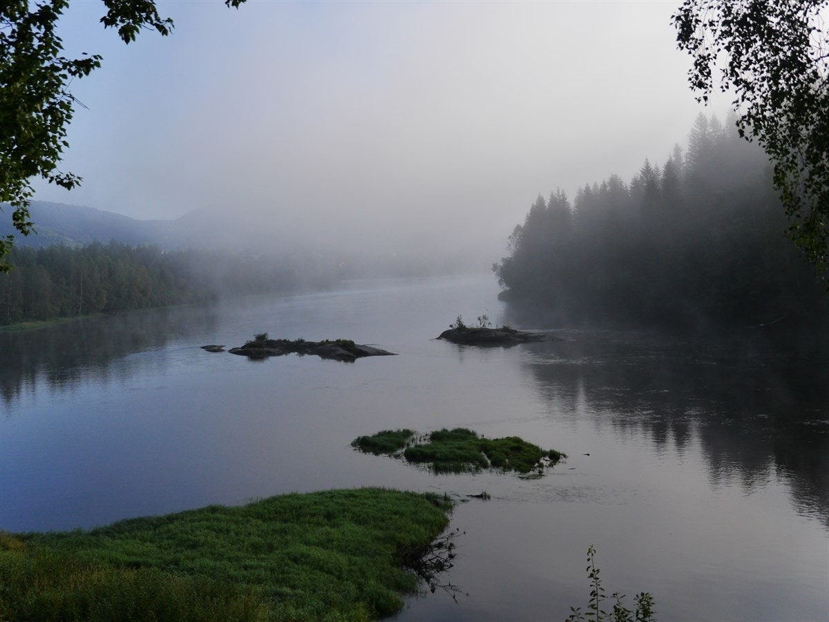 Stemningsbilde. Galleribilde