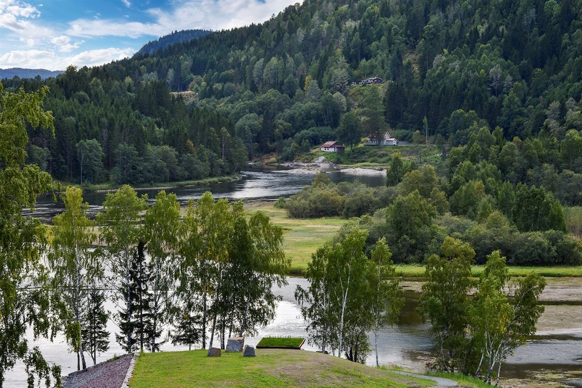 Lardal kommune kan tilby varierte kulturopplevelser, laksefiske og både vill og rolig natur. Her finnes det aktiviteter for små og store. Galleribilde