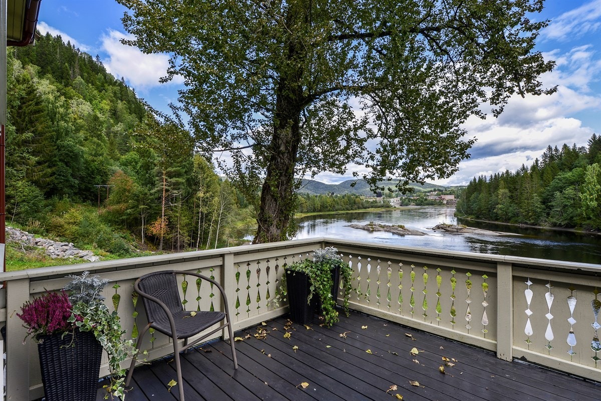 Terrasse. Galleribilde