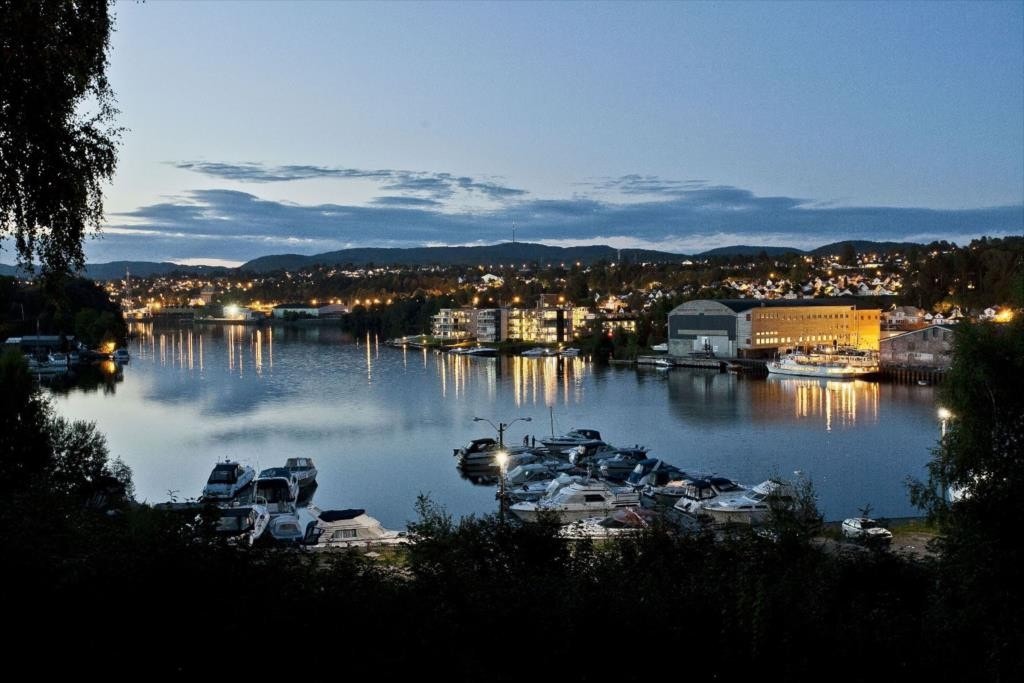 Flott utsikt fra hagen mot elven Galleribilde