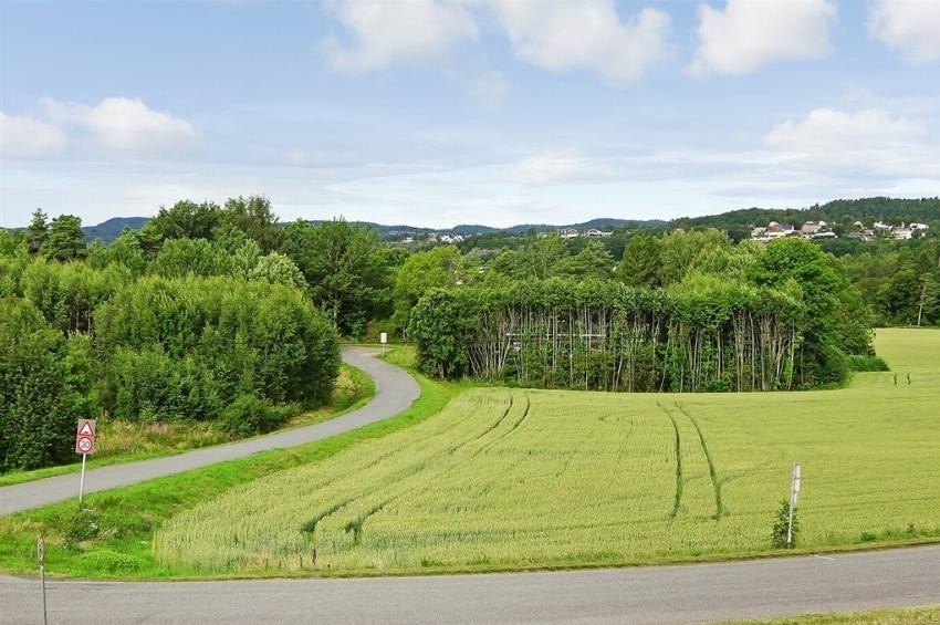 Frittliggende og landlig med kort vei til barnehage og skole. Barnehage bak trærne (her sett fra terassen). Galleribilde