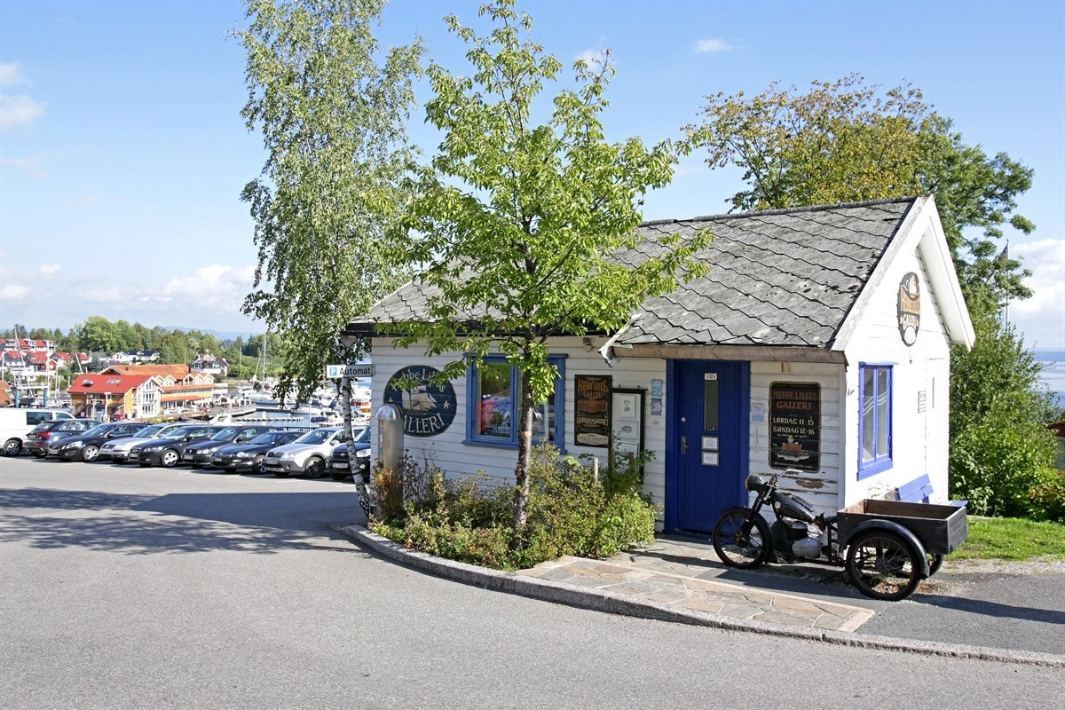 Vollen sentrum Galleribilde