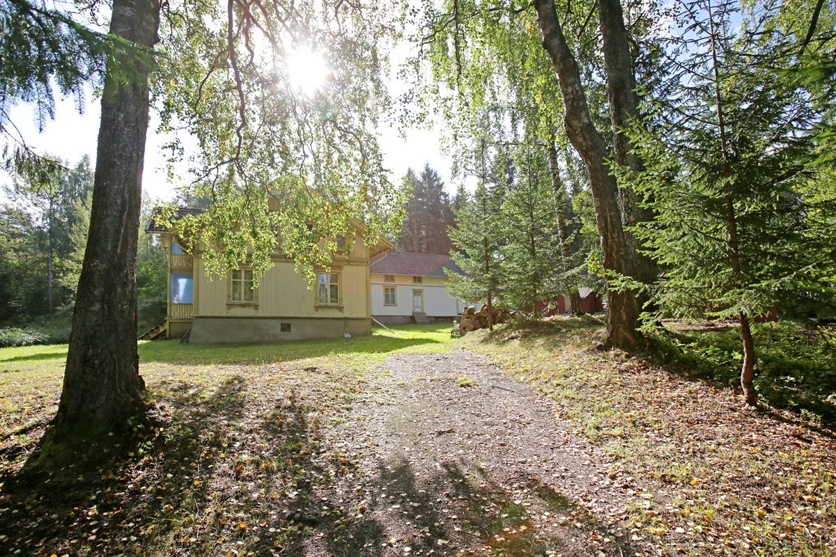 Oppkjørsel Galleribilde