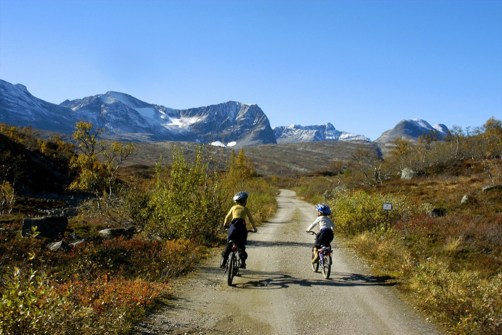 Storlidalen Galleribilde