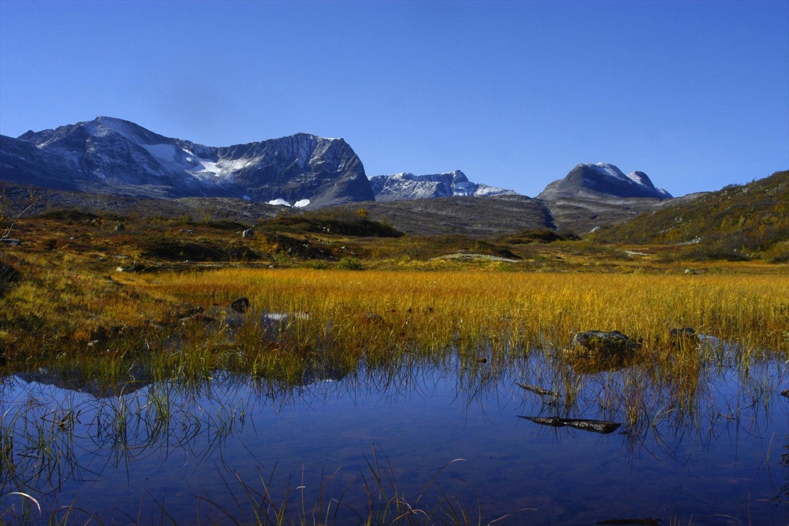 Storlidalen Galleribilde