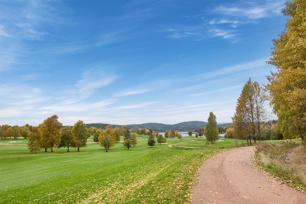 Områdebilde. Galleribilde