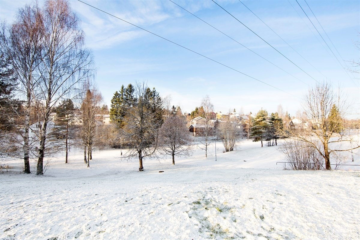 Områdebilde. Galleribilde