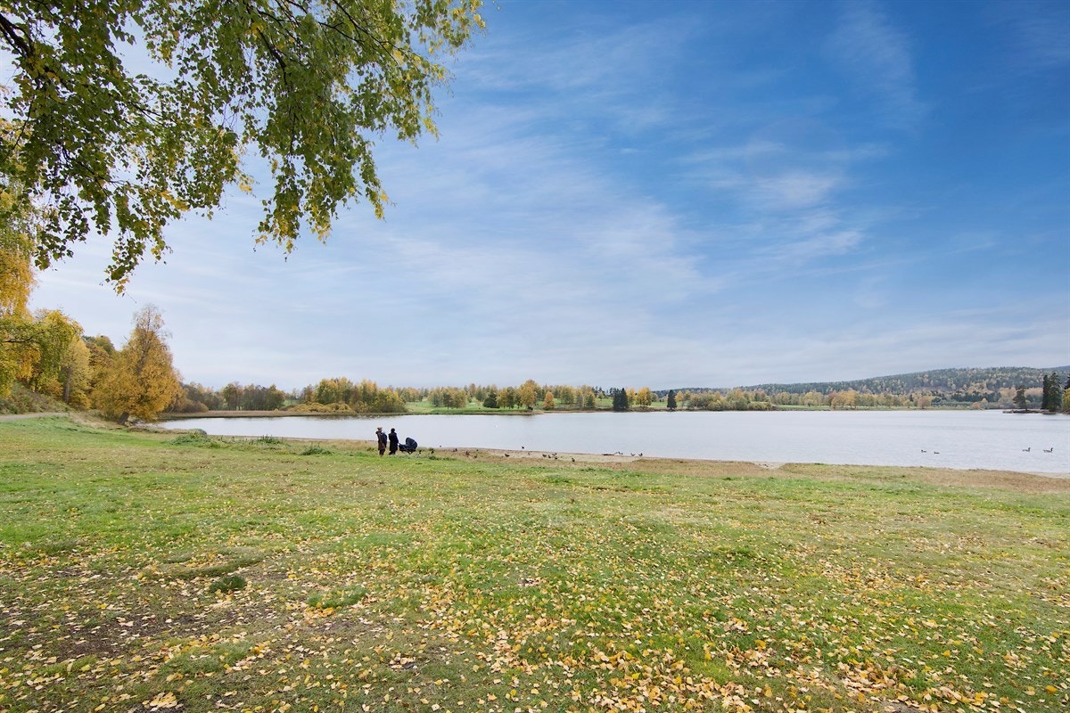 Områdebilde. Galleribilde