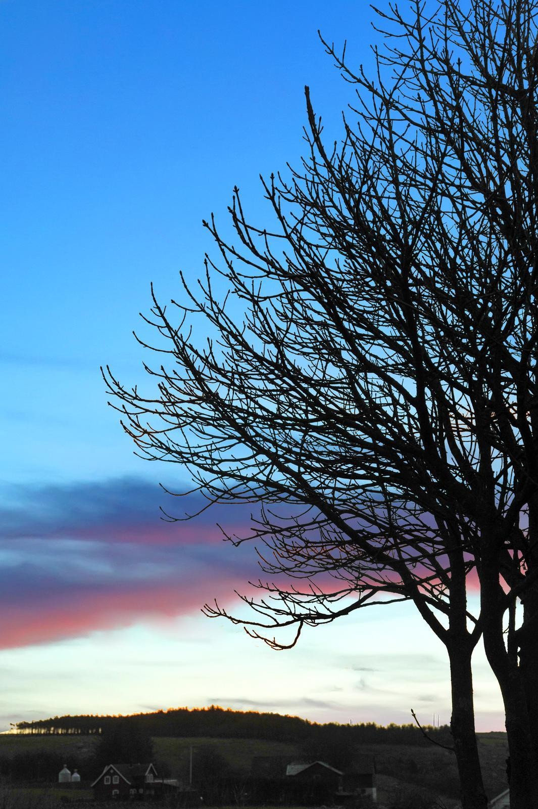 utsikt_4 Galleribilde