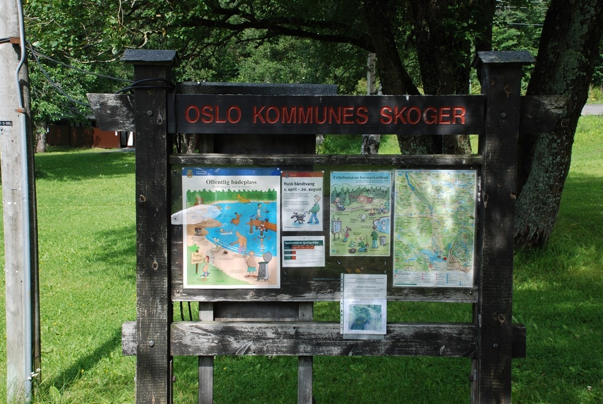 Lysløyper og skogsstier i hopetall Galleribilde