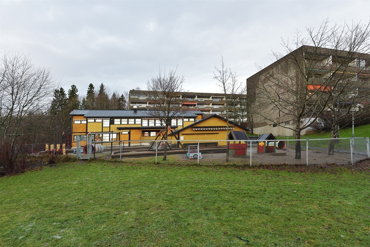 Fellesarealer Galleribilde