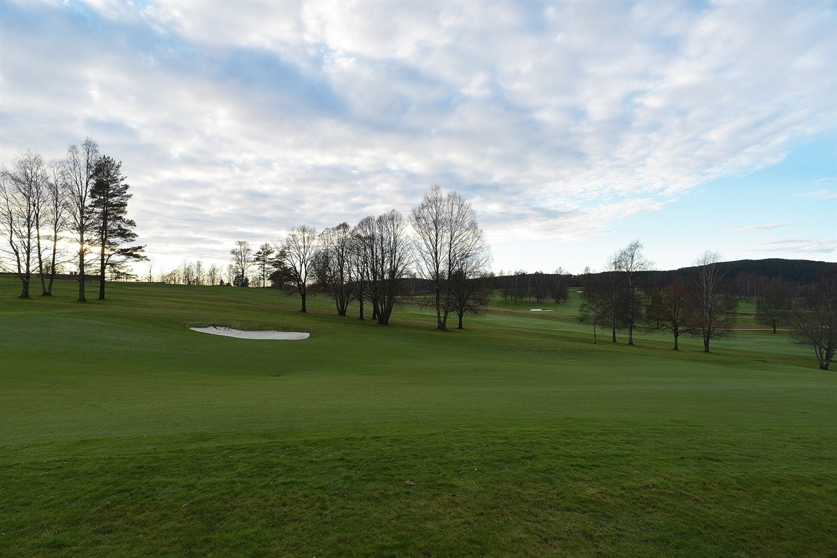 Oslo Golf klubb (Bogstad) ligger også i området. Galleribilde