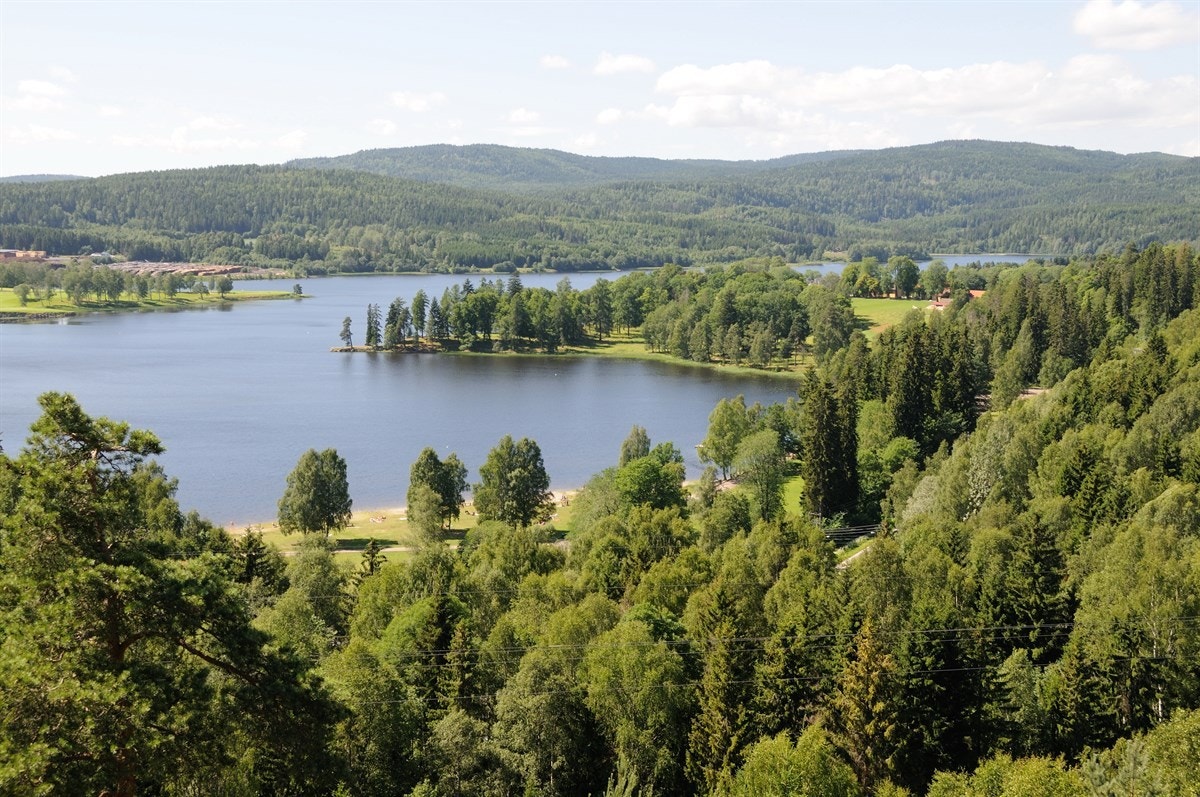 Fantastiske tur og rekreasjonsmuligheter i området. Galleribilde