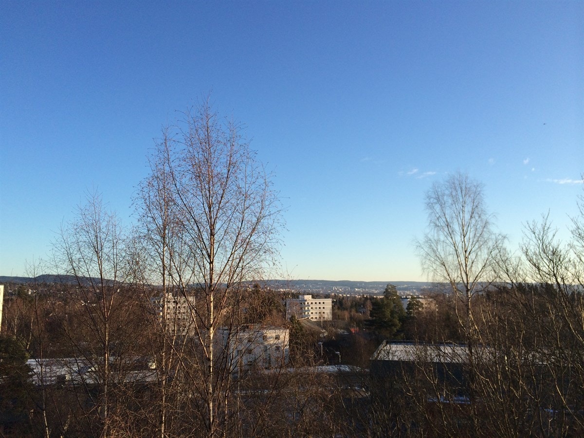 Utsiktsbilde fra balkong Galleribilde