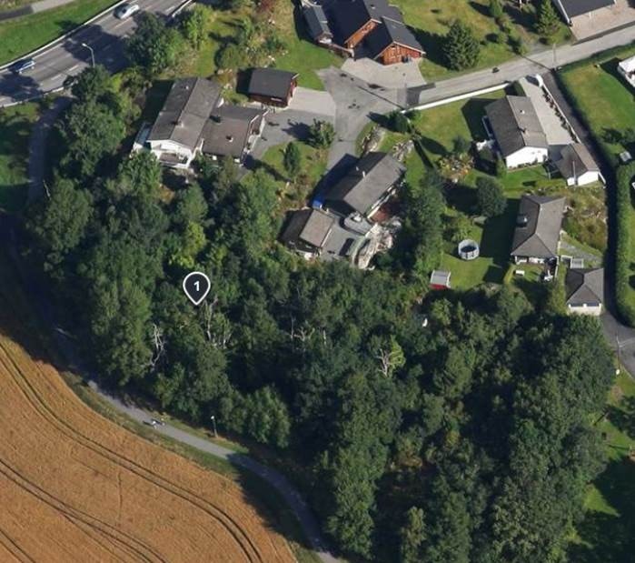 Boligen ligger til venstre i bildet med landlig utsikt mot sør og vest Galleribilde