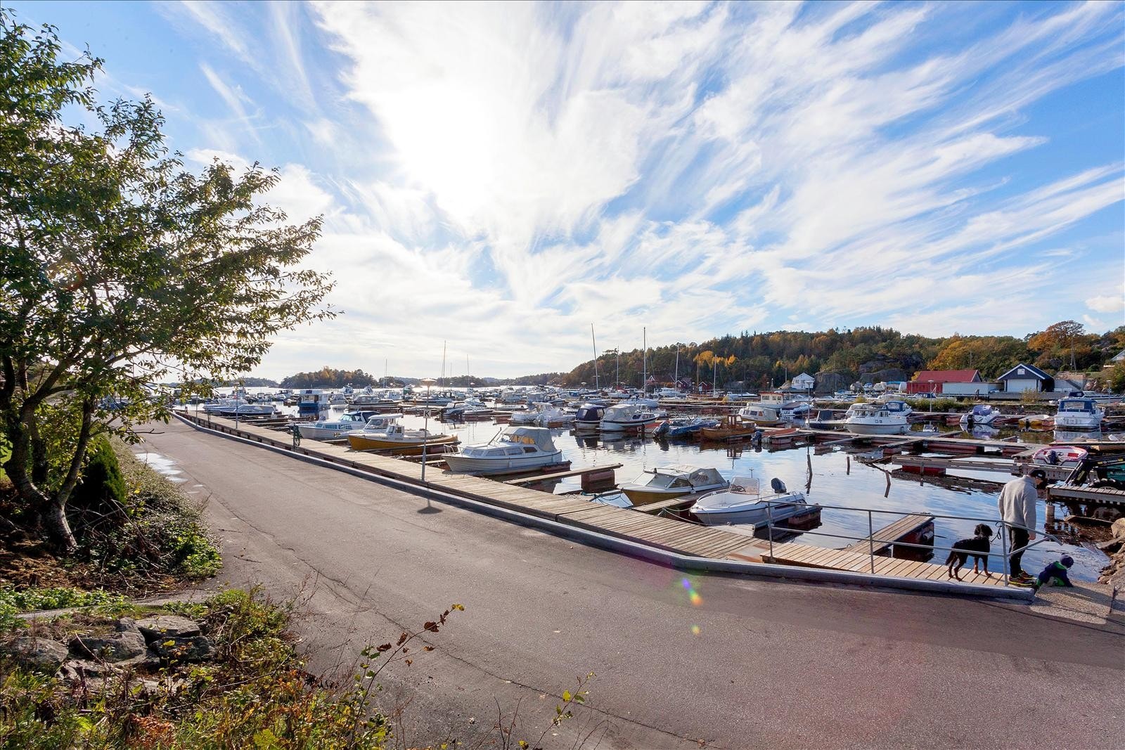 Område Galleribilde