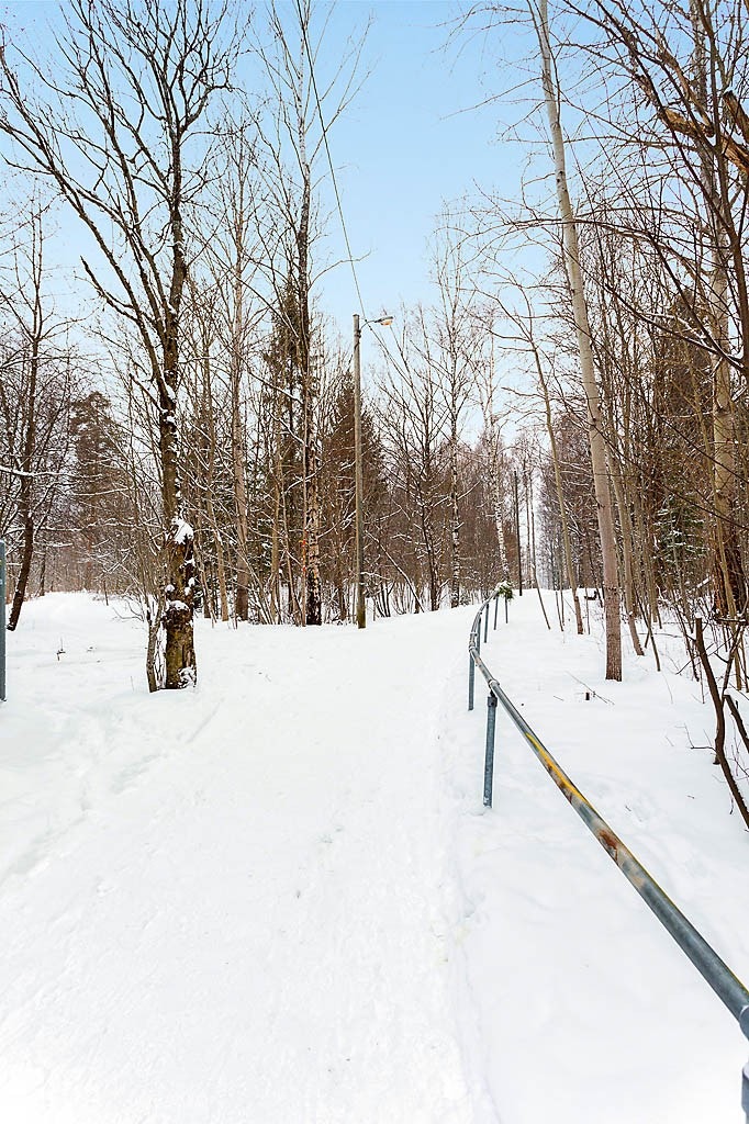 Nærområde Galleribilde