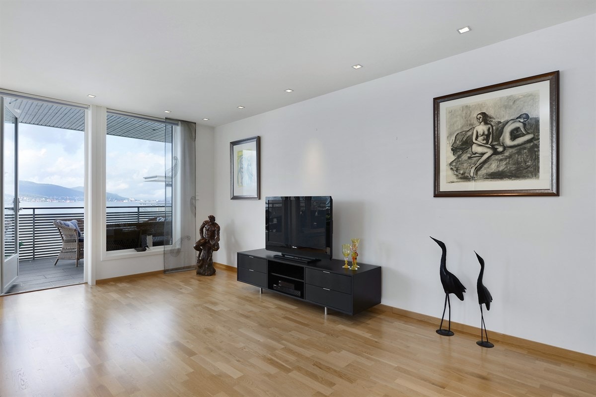 Fra stuen er det utgang til en meget stor terrasse med en utrolig panorama fjordutsikt og sol fra morgen til kveld. Galleribilde