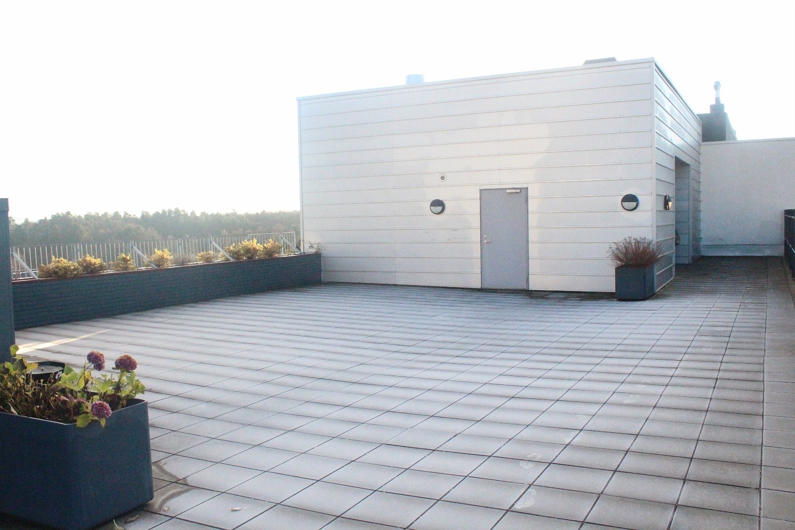 felles takterasse Galleribilde