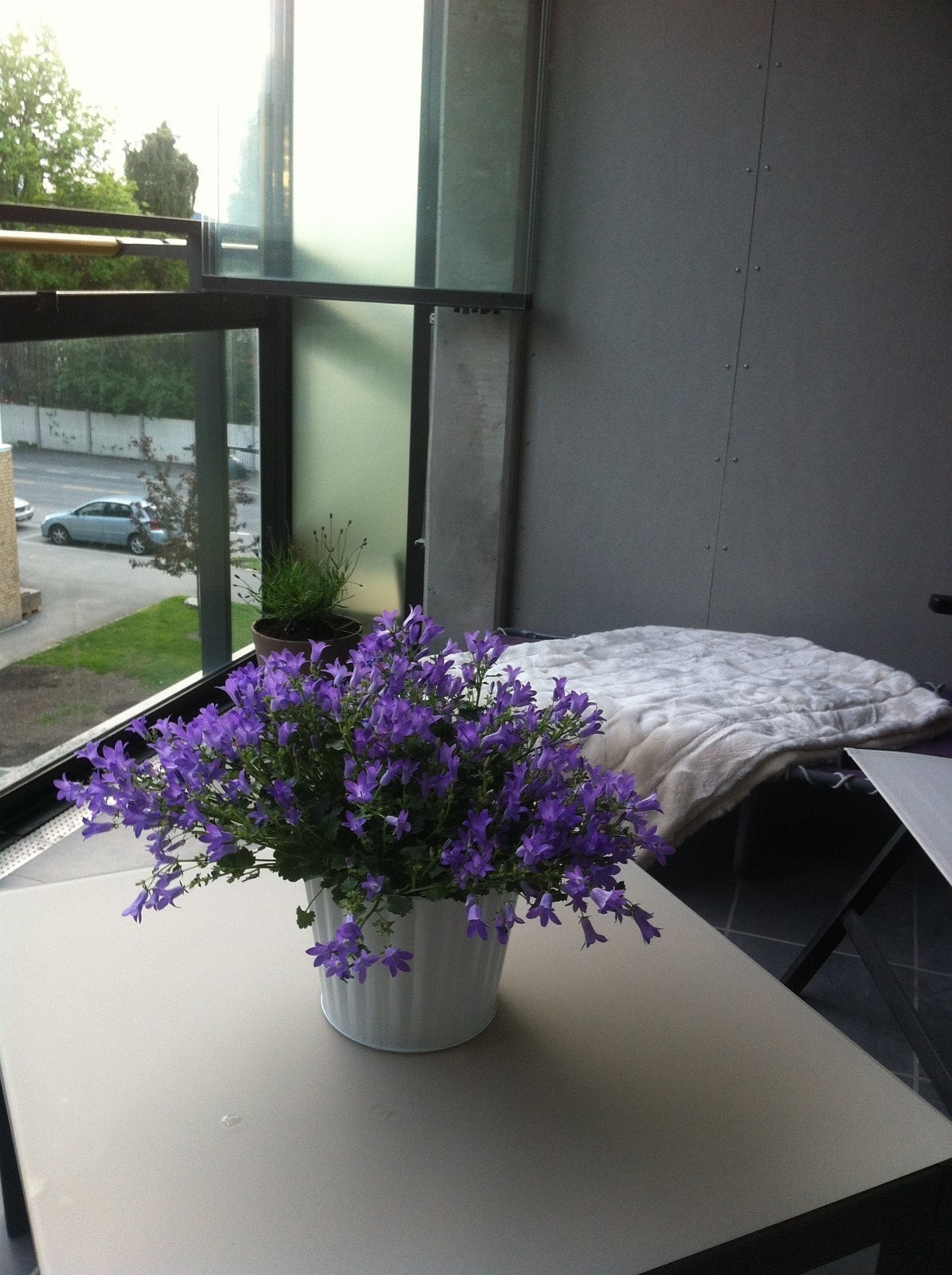 Vestvendt veranda med kveldssol. Galleribilde