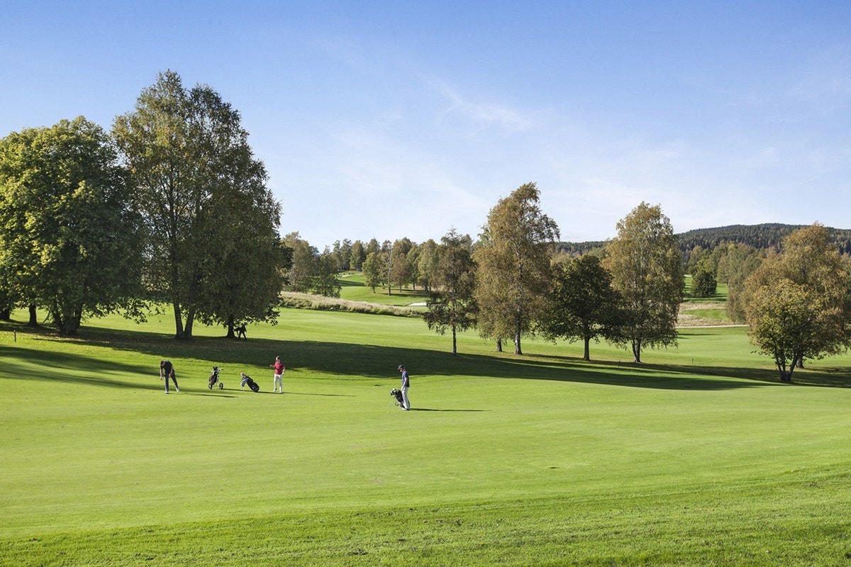 Oslo golfklubb ligger like i nærheten Galleribilde