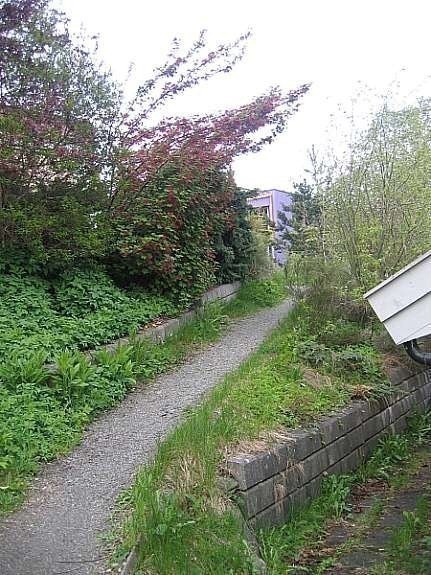 Gangvei fra garasje mot Nord Galleribilde