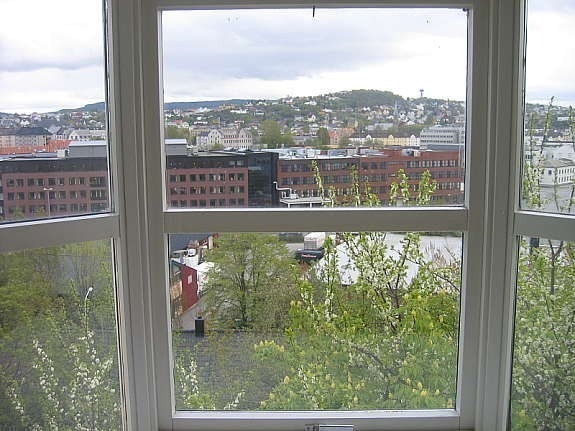 Utsikt karnapp i stue mot Syd Galleribilde