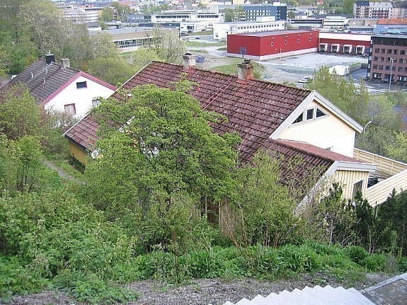 Fra oversiden Galleribilde