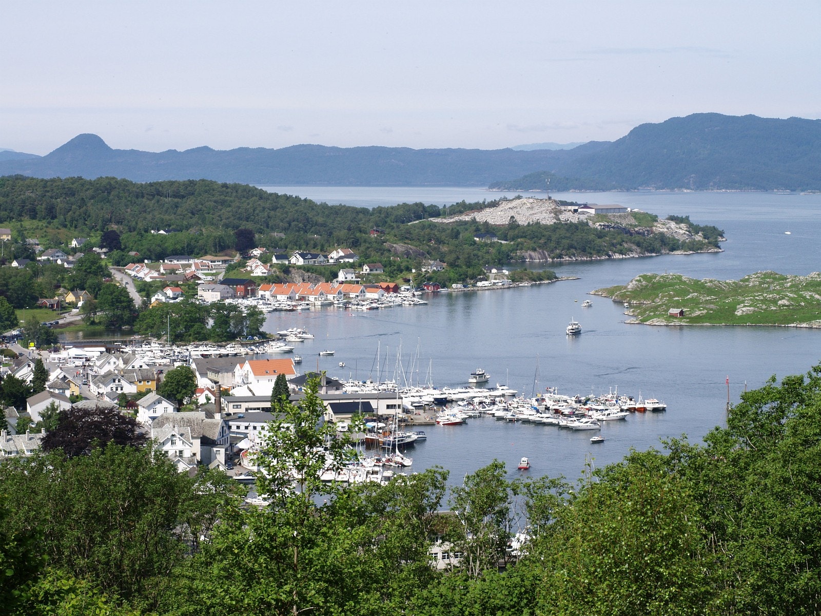 Utsikt fra feltet Galleribilde