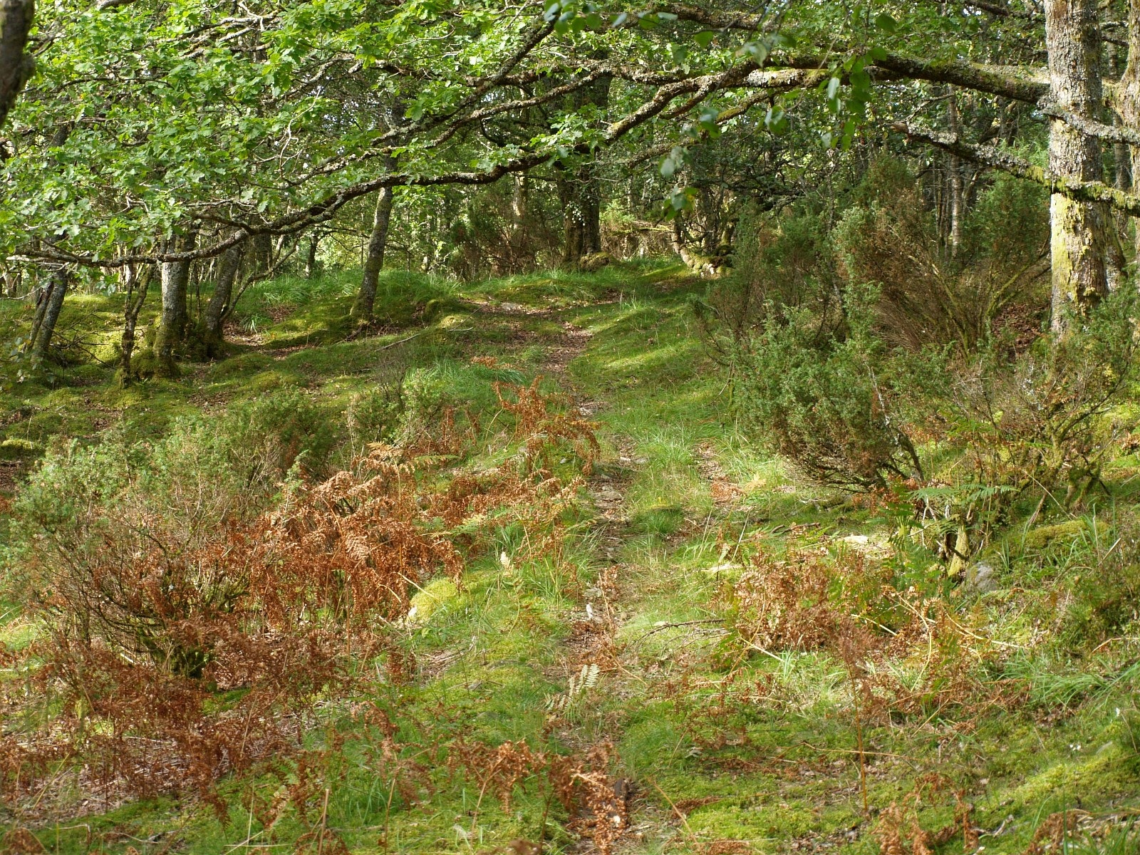 natur og friluftsliv Galleribilde