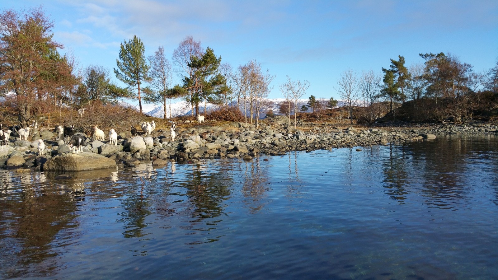natur og friluftsliv, Taraldsøy Galleribilde