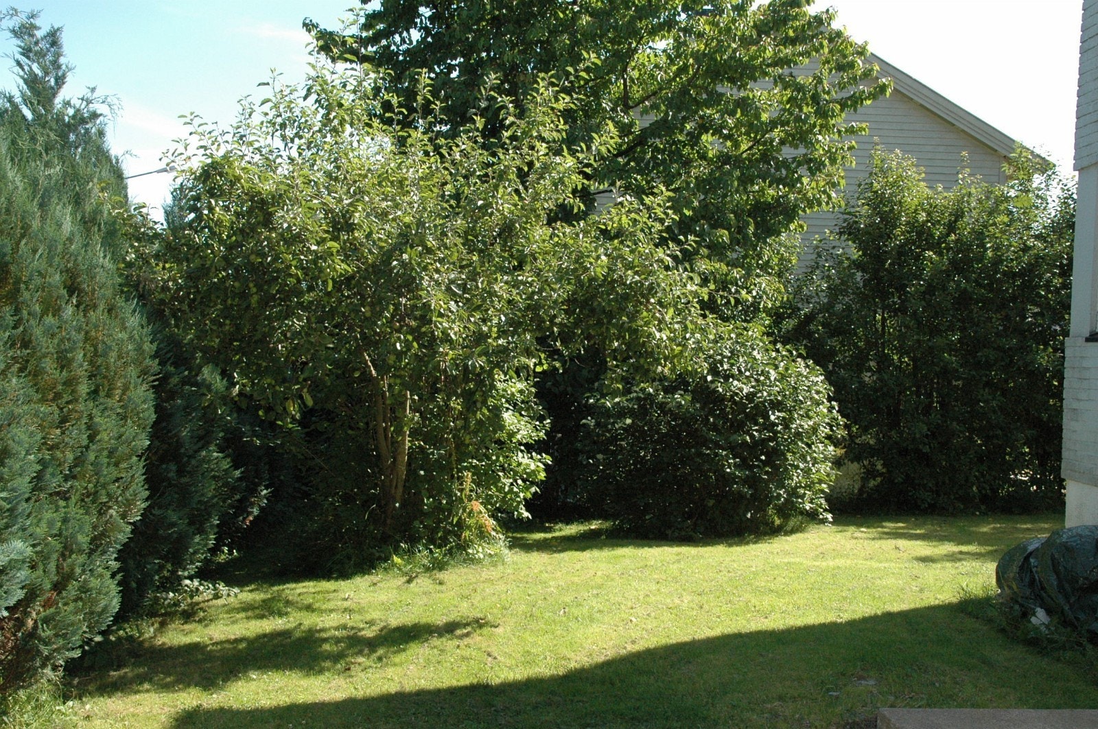 Deilig hage Galleribilde