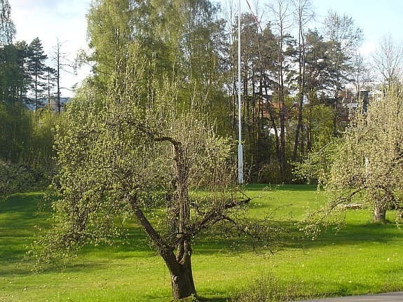 Utsikt fra stuen Galleribilde