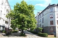 Fasade sett fra Henrik Klausens gate (sidegate til Theresesgate) Galleribilde