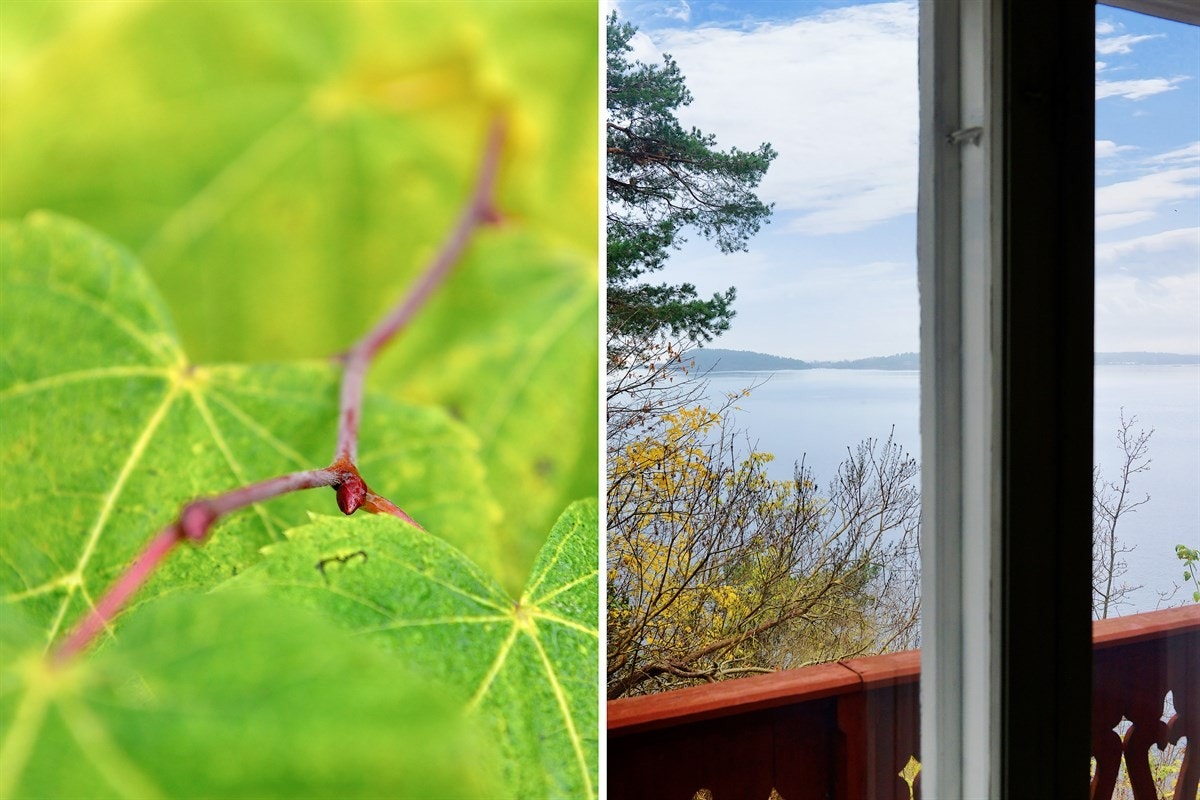 Ut mot havet Galleribilde