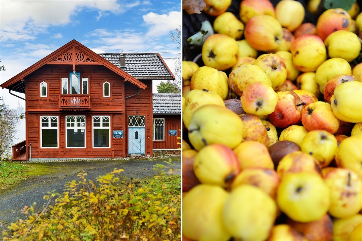 Egenartet hus og stor hage Galleribilde
