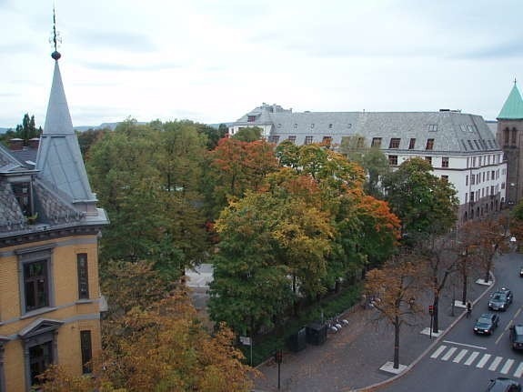 Utsikt fra vinduet Galleribilde