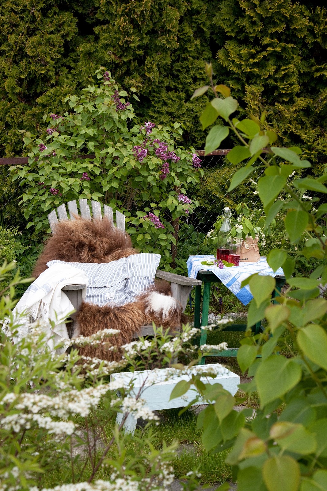 Usjenert i hagen Galleribilde