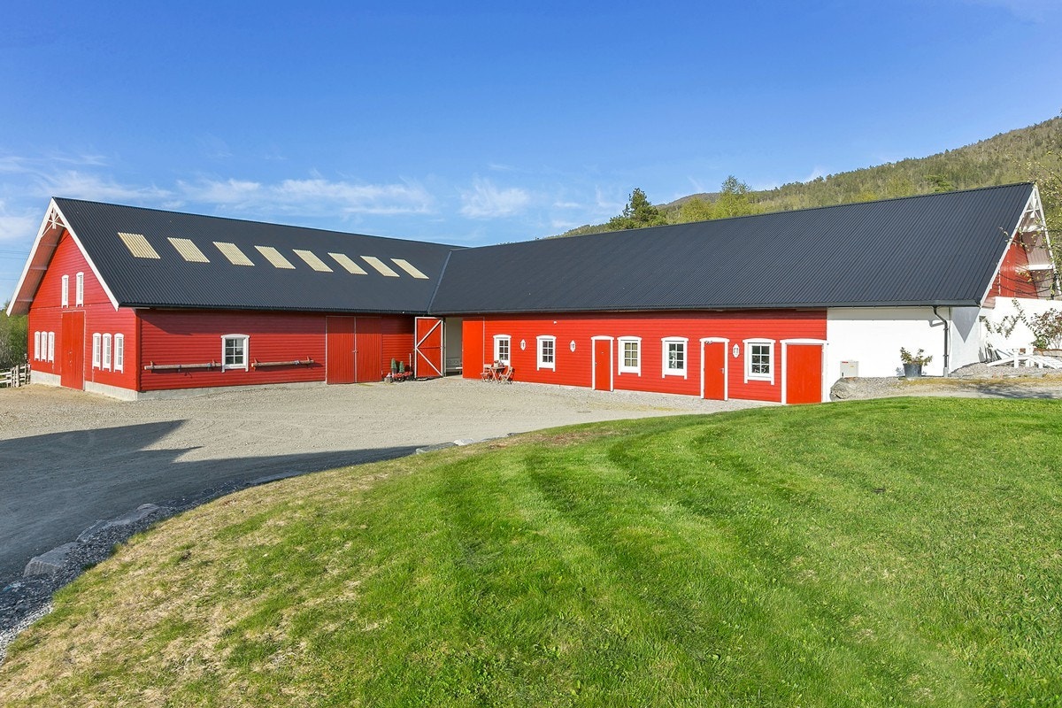 Stall med 20 stalleplasser Galleribilde