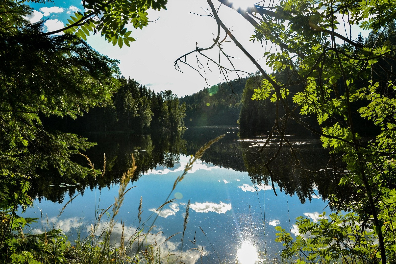 Lørenskog er næhet til Naturen Galleribilde