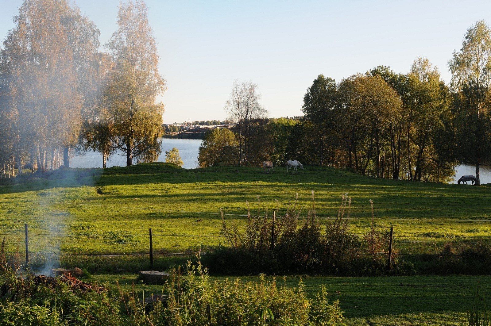 Utsikt mot Bogstadvannet fra tunet: Galleribilde