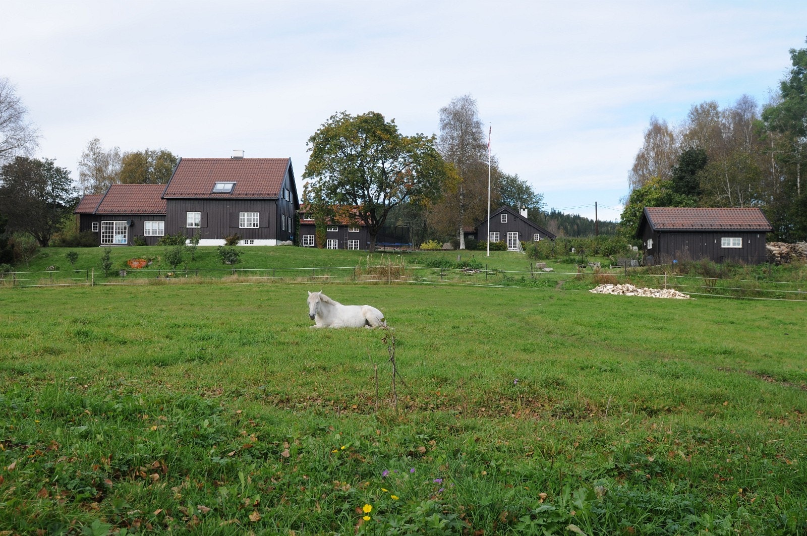 Boligen sammen med øvrig bebyggelse på Søndre Tangen gård: Galleribilde
