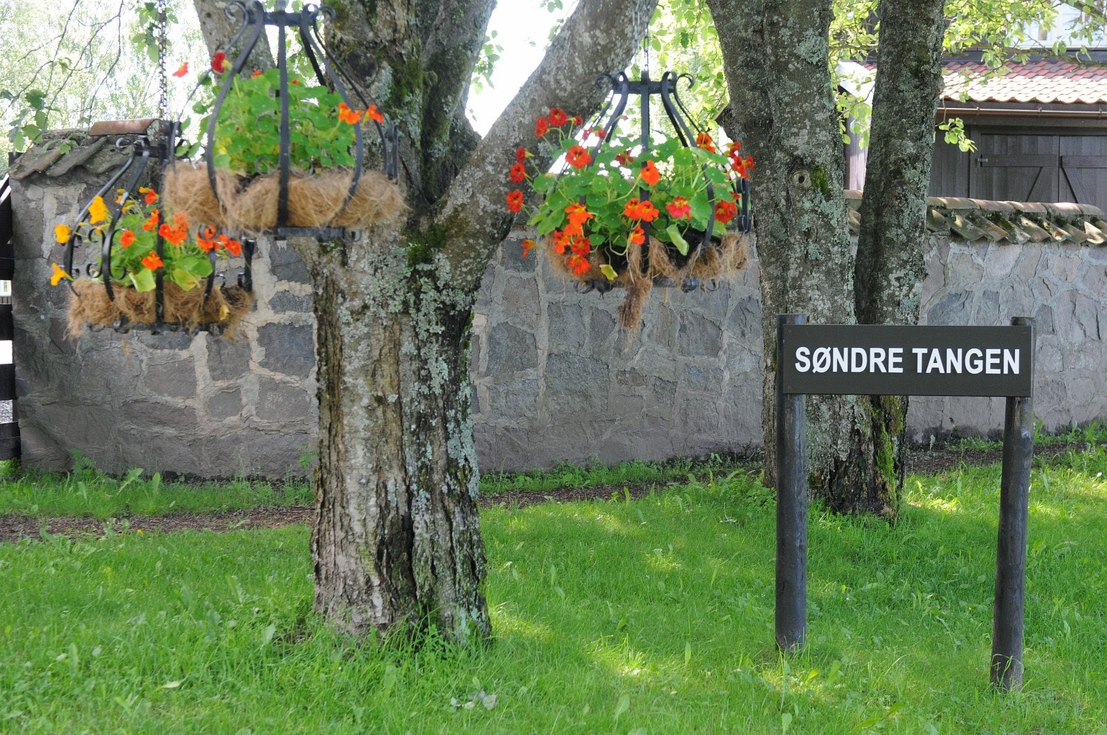 Fra innkjørselen til Søndre Tangen: Galleribilde