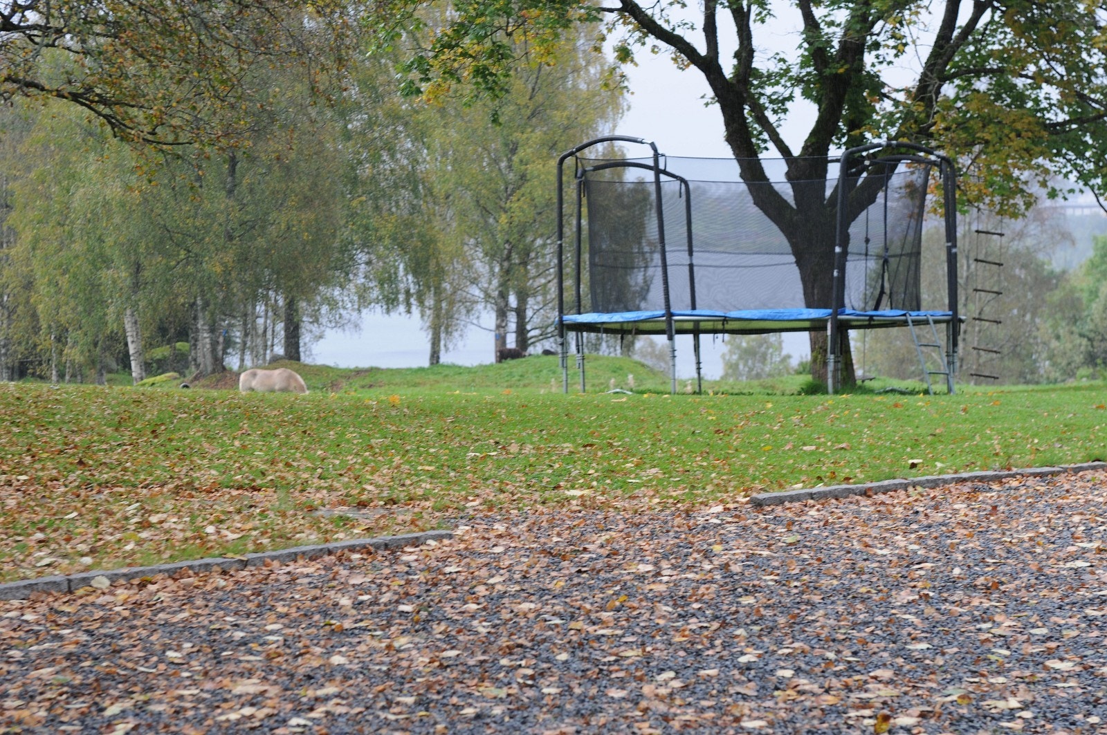 Trampoline til benyttelse: Galleribilde