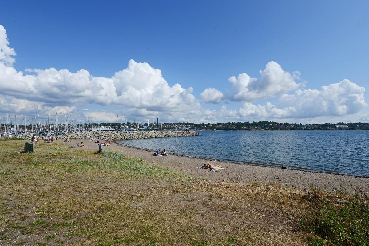 Sølystranda. Galleribilde