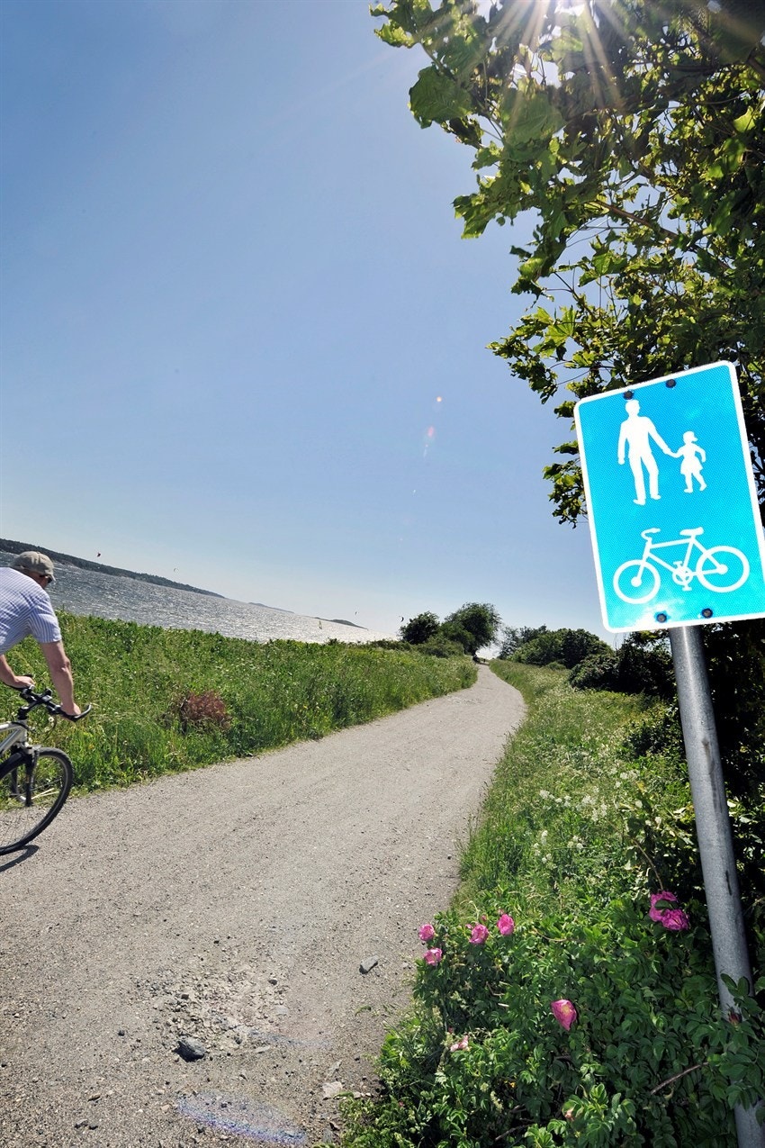 Det er mange fine turveier på Jeløy. Galleribilde