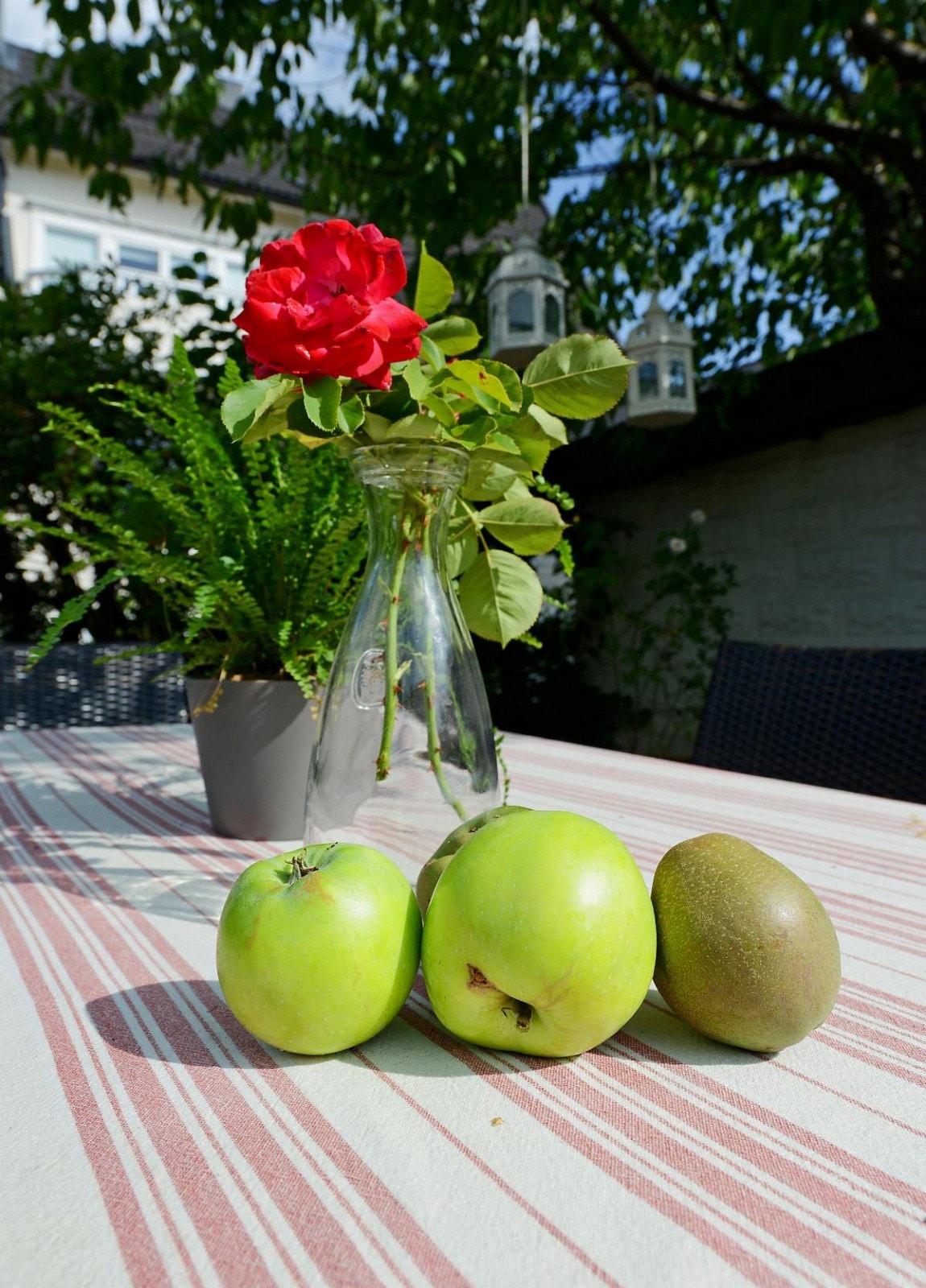 Den store flotte hagen ligger skjermet, har utstrakt beplantning og innbyr til rekreasjon og barnelek. Galleribilde