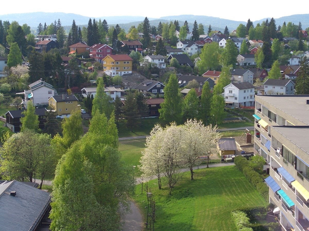 Utsikt sommerstid Galleribilde