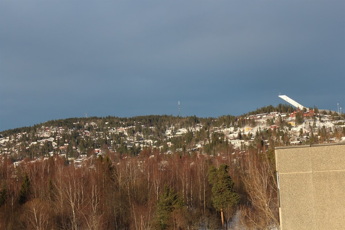 Utsikt mot Holmenkollåsen fra balkongsiden (selgers bilde) Galleribilde
