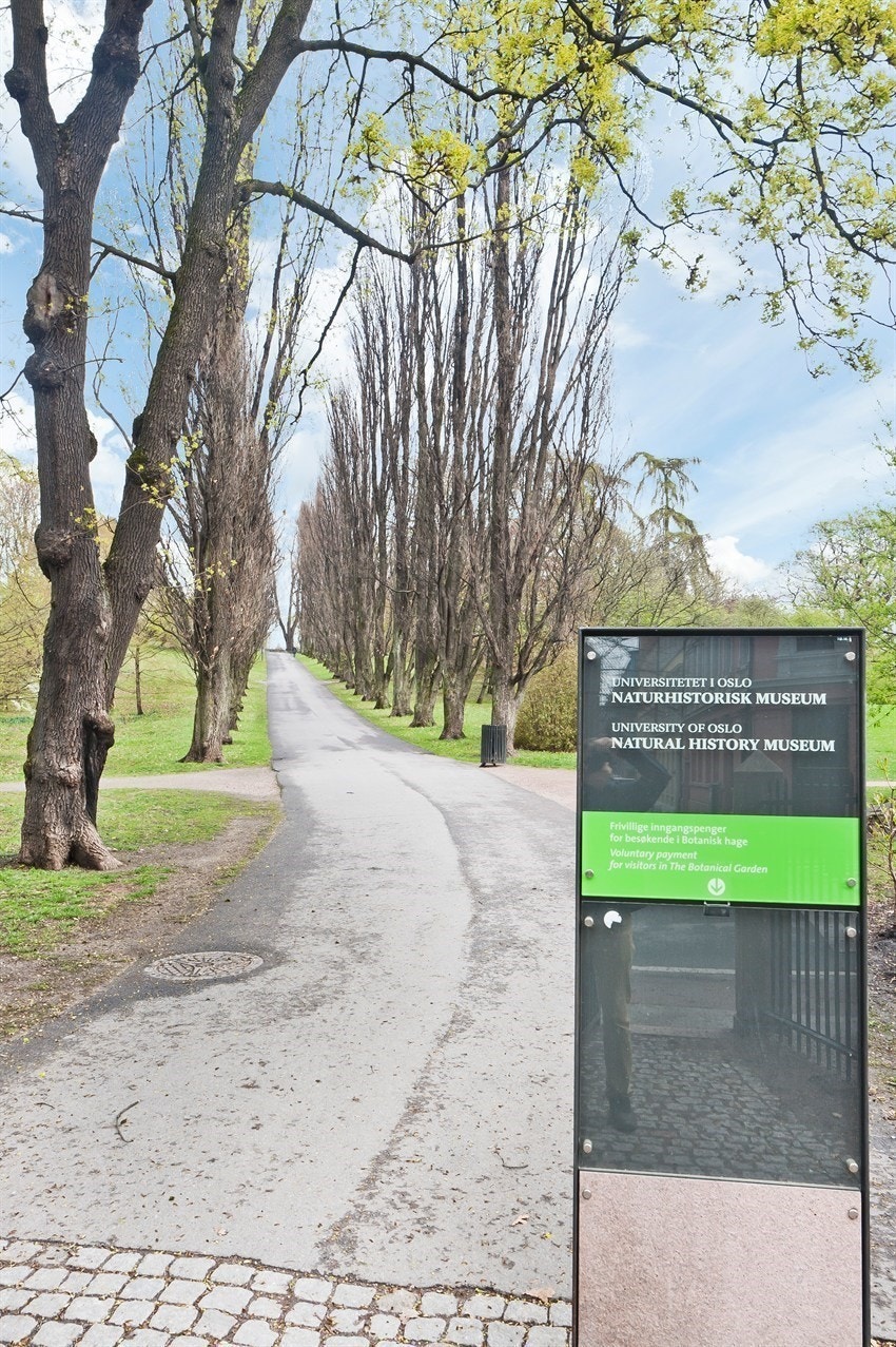 Inngangen til Botanisk hage finner du 5 minutters gange fra leiligheten. Galleribilde
